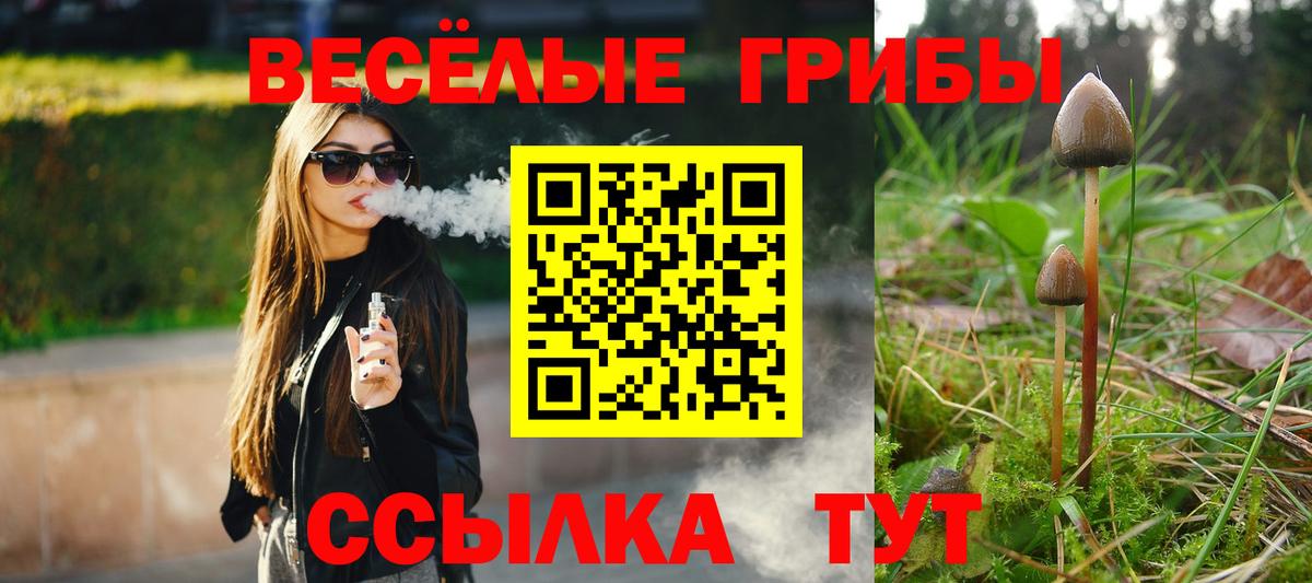 Зеленокумск  Псилоцибиновые грибы мухоморы  Вход с VPN 