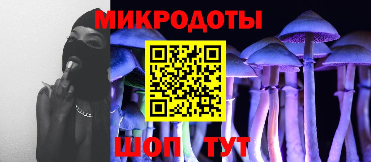 Псилоцибиновые грибы прущие грибы Зеленокумск